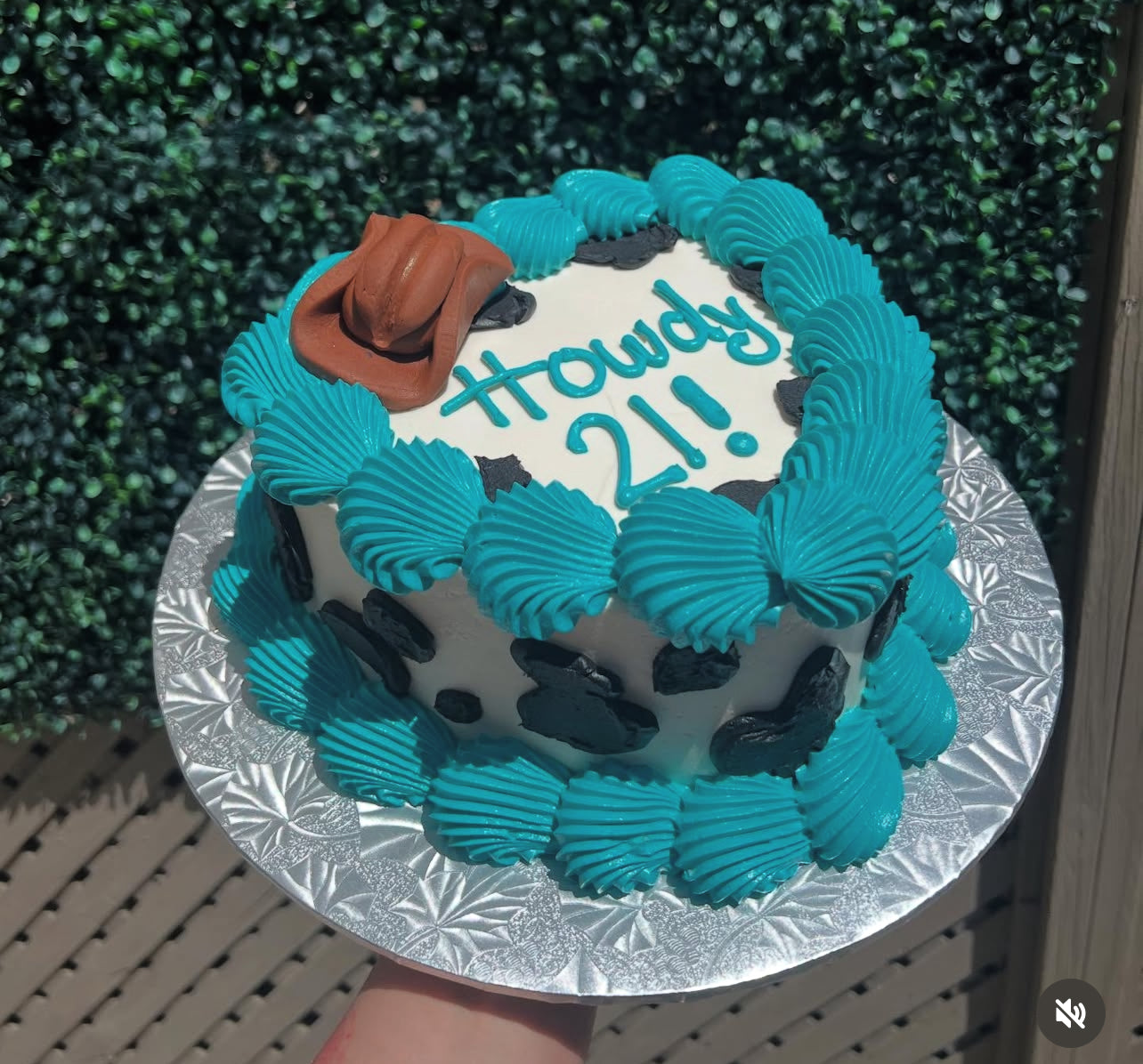 Cake decorating class July 26