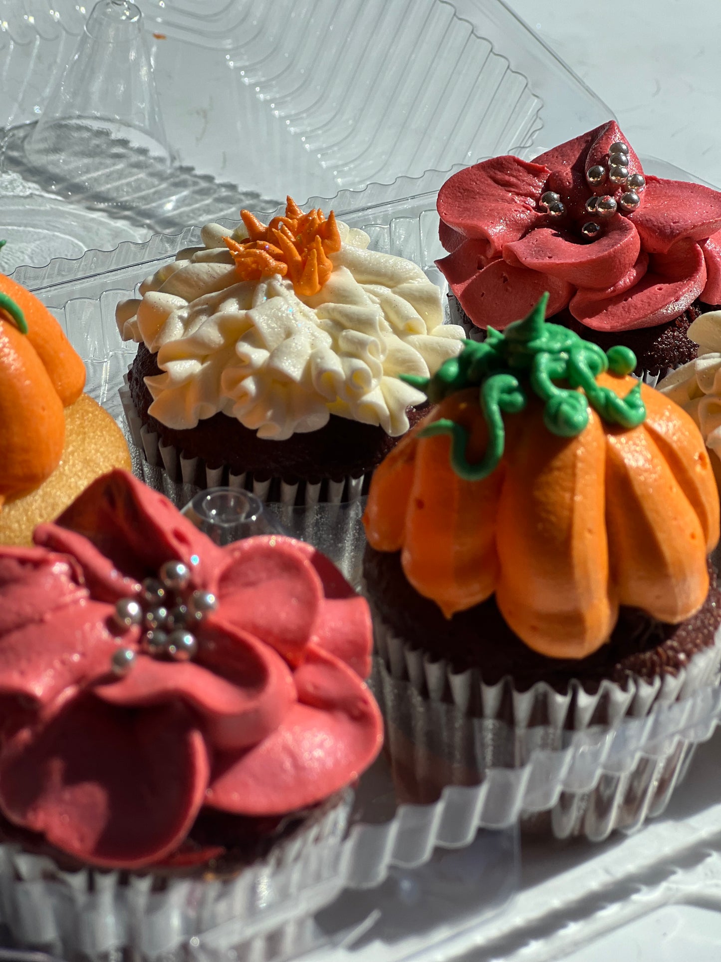 Fall Themed Cupcakes 6 Pack