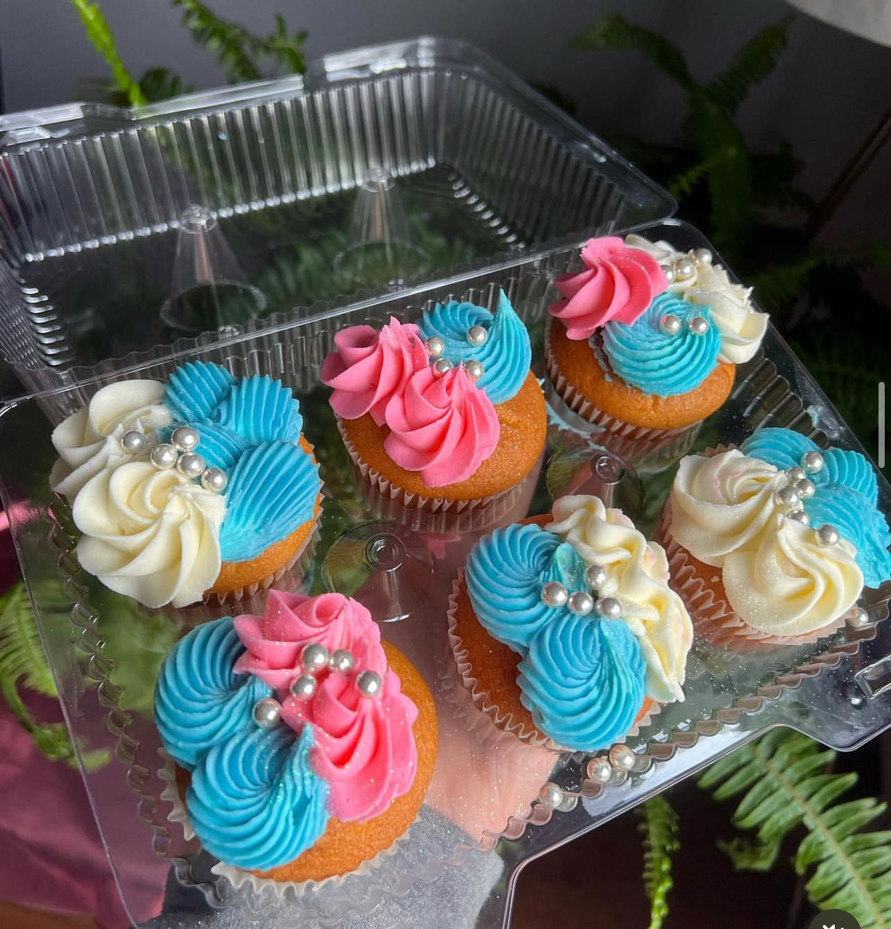 6 pack decorative cupcakes