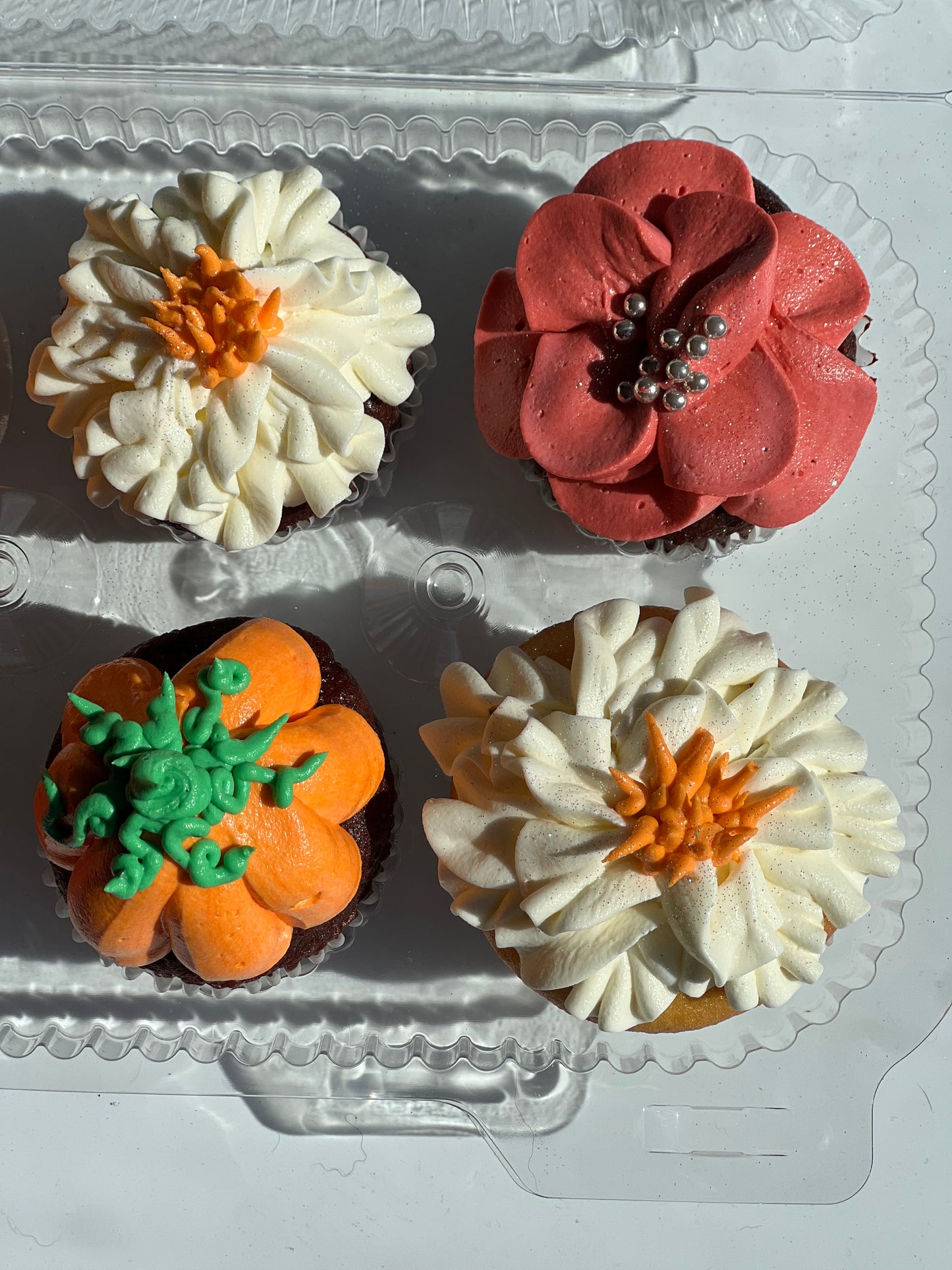 Fall Themed Cupcakes 6 Pack